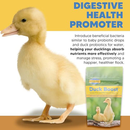 Duck Boost Probiotic - Probiotics, Vitamins, Minerals and Electrolytes for Chickens | Duck Vitamins and Supplements for All Poultry - 3oz - size: 3oz