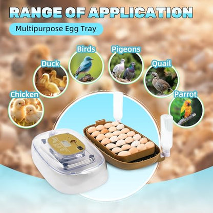 Ploomi 24 Eggs Incubator with Auto Water Refill & Humidity Control, Automatic Egg Turner, Built-in LED Candler, Species Pre-Programs for Chicken Duck Quail Turkey - Beginner Friendly