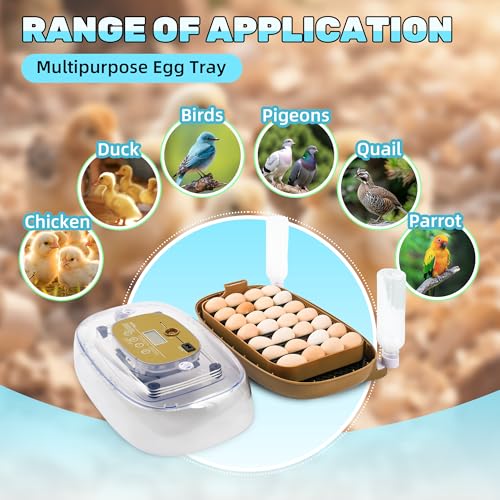 Ploomi 24 Eggs Incubator with Auto Water Refill & Humidity Control, Automatic Egg Turner, Built-in LED Candler, Species Pre-Programs for Chicken Duck Quail Turkey - Beginner Friendly