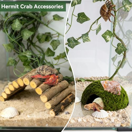 Hermit Crab Accessories, Hermit Crab Climbing Toys, Bendable Rope Bridge Wooden Shell Hideout Hut Plants for Reptile Amphibians Hermit Crab Tank Accessories Supplies