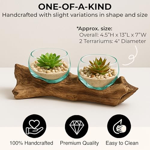 Cape Craftsmen Set of 2 Terrariums | Hand-Blown Blue Tinted Bubble Glass On Natural Teak Driftwood Terrarium | Home Décor Indoor Planter with Stand | Pot for Succulent and Plants - size: Set of 2 (With Stand)