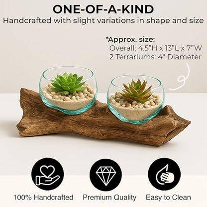 Cape Craftsmen Set of 2 Terrariums | Hand-Blown Blue Tinted Bubble Glass On Natural Teak Driftwood Terrarium | Home Décor Indoor Planter with Stand | Pot for Succulent and Plants - size: Set of 2 (With Stand)