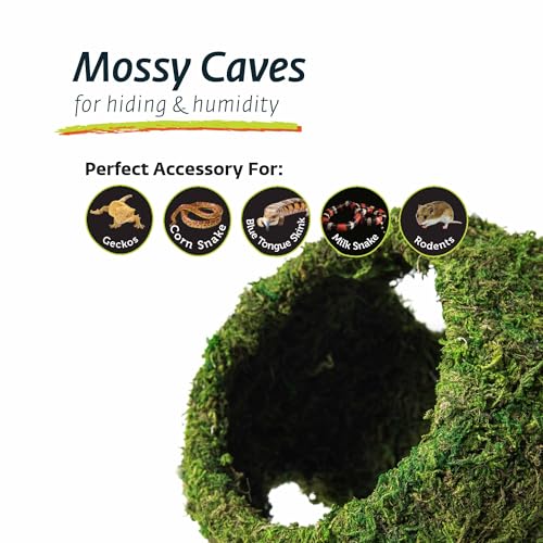 Galápagos (05344) Mossy Cave with Holes | Natural Reptile Hide for Bearded Dragons, Geckos, Snakes, Tortoises, Frogs, Hermit Crabs, and Lizards | Terrarium Decor, 7.5in Diameter