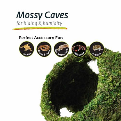 Galápagos (05344) Mossy Cave with Holes | Natural Reptile Hide for Bearded Dragons, Geckos, Snakes, Tortoises, Frogs, Hermit Crabs, and Lizards | Terrarium Decor, 7.5in Diameter