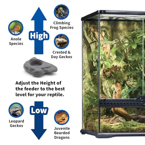 Pangea Silicone Gecko Feeding Ledge - Magnetic Mini Food Dish, Gray | 4.125" x 2.625" x 1.18" - Fits 0.5oz Feeding Cups, Easy to Clean Silicone Build - 1.625" x 0.625" Size Cup Holder - color: Gray