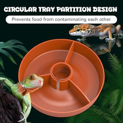 2 in 1 Reptile Food Feeders Bowl Water Bottle, Automatic Water Dispenser Reptile Feeder Kit for Amphibian Lizard Bearded Dragon Snake Feeding (Orange) - color: Orange