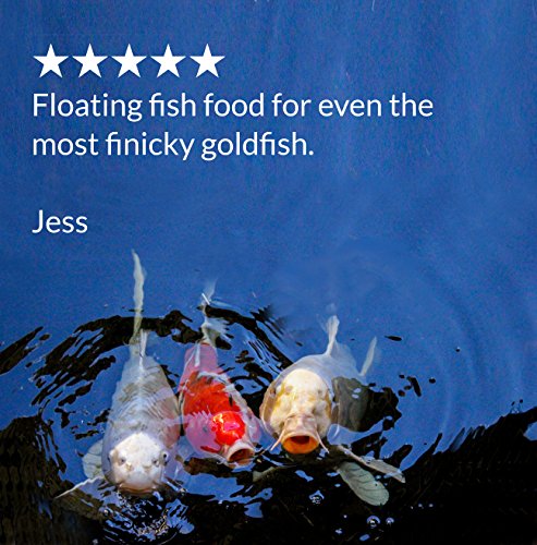 API POND FISH FOOD Pond Fish Food 2.68-Pound Bag - size: 2.68 Pound (Pack of 1)