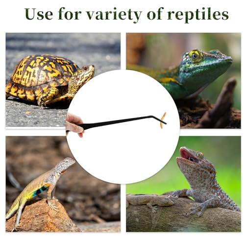 Reptile Feeding Tongs, Stainless Steel Lizard Feeding Tongs, Aquarium Curved Feeding Tweezers for Reptiles with Rubber Tip, Terrarium Feeding Tongs for Gecko, 14.96" Length, Black - size: 14.96"