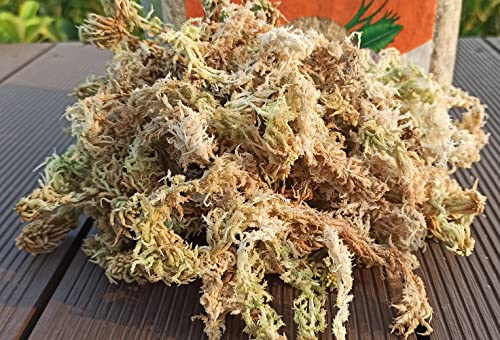 1.1 lb Sphagnum Moss for Plants, Carefully Selected Clean Sphagnum Mos for Rooting Plants - size: 1.1 lb