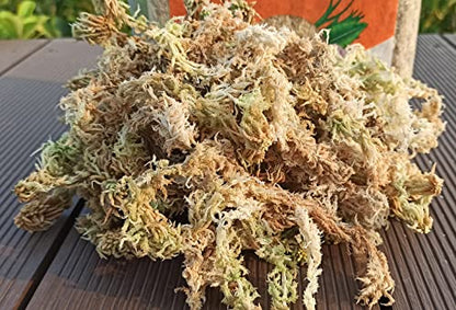 1.1 lb Sphagnum Moss for Plants, Carefully Selected Clean Sphagnum Mos for Rooting Plants - size: 1.1 lb