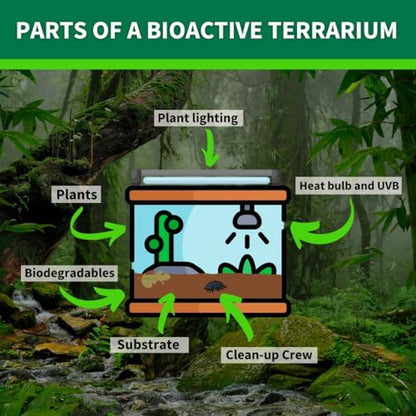 The Bio Dude HydroGrow V1 18 quarts Drainage Layer for Tropical bioactive terrariums, Reptile habitats, hydroponics, aquaculture, Outdoor Drainage and Soil Aeration
