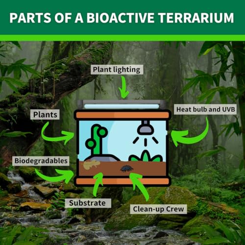 The Bio Dude Terra Firma Reptile Substrate 36 quarts for terrariums and vivariums. Bioactive Habitat Substrate for Ball Pythons, kingsnakes, milksnakes, arachnids and Lizards