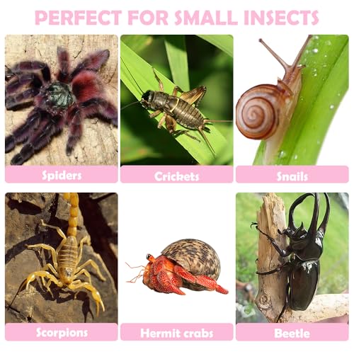 50 Pcs 0.5oz Spider Food and Water Feeding Cups Small Reptile Feeder Bowls with Base for Spider Snail Crab Insect