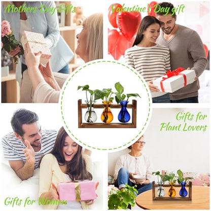 Plant Propagation Station Plant Terrarium Unique Birthday Gifts for Women | Plant Lovers Home Office Decor Planter with Wooden Stand - 3 Bulb Glass Vase