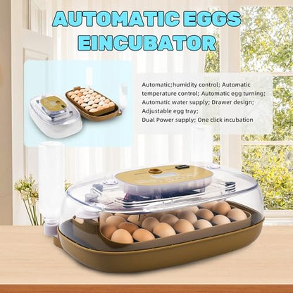 24 Eggs Incubator with Auto Water Refill & Humidity Control, Automatic Egg Turner, Built-in LED Candler, Species Pre-Programs for Chicken Duck Quail Turkey — Beginner Friendly
