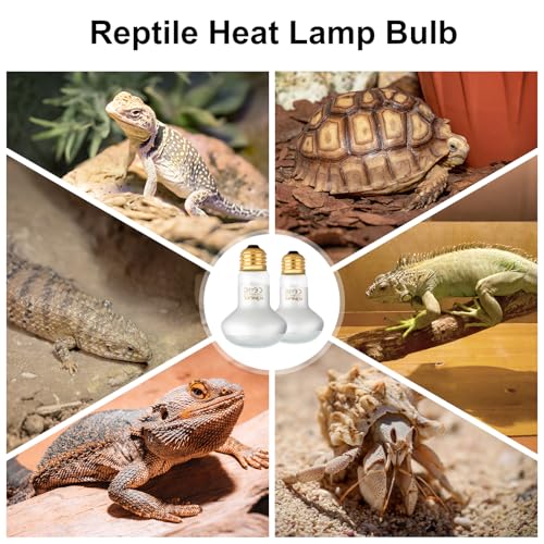 KINUR Reptile Heat Lamp Bulb-75W 2 Pack,UVA Basking Light,Natural Daylight Heating Light for Bearded Dragon,Turtle,Tortoise,Lizard,Snake,Gecko,Chicken with Digital Temperature Strips E26 - color: White-2 Pack