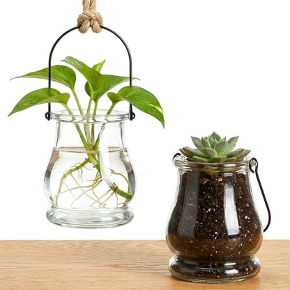 Tebery 12 Pack Wall Hanging Planter Propagation, Glass Pot Terrariums for Indoor Plants, Clear Air Plant Holder Vase for Home Office Decor
