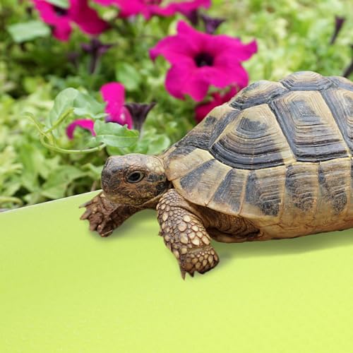 Ipetboom Crawling Blanket Reptile Carpet Reptile Substrate Mat Reptile Supplies Leopard Print Bedding Gecko Bedding Mat Bearded Dragon Accessories Snake Cage Accessories Reptile Cage Carpet - color: Light Green