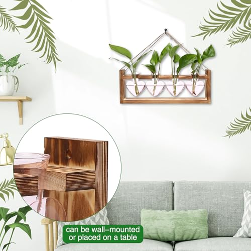 Plant Propagation Stations Heart Plant Terrarium Kit | Gift for Women Plant Lover Glass Vases - color: Pink