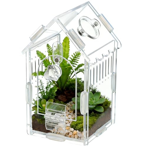 House-Shaped Acrylic Spider Enclosure, Clear Habitat with Feeding Port | Clear acrylic enclosure with feeding port, ventilation, and house-shaped design for jumping spiders and small invertebrates. - size: Acrylic House