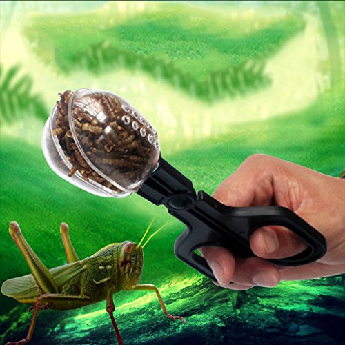 Feeding Scoop Tweezers, Spoon Tip Feeder Clamp for Snake Tarantula, Terrarium Poop Catcher Tool