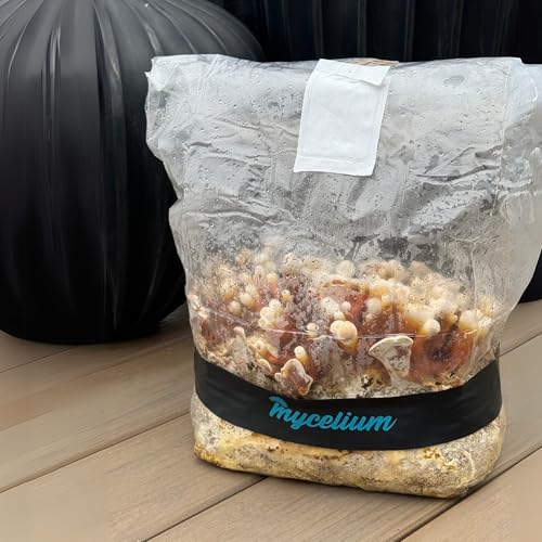 Mycelium 6LB Mushroom Growing Kit | CVG Substrate & Millet/Milo Grain Blend w/Cultivation Enhancer | All-in-One Pre-Sterilized Bag with Injection Port | Grow Dung-Loving Mushrooms Like Magic At-Home