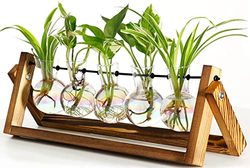 XXXFLOWER Plant Terrarium with Wooden Stand Desk Plant 5 Bulb Vase | Terrarium Kit Glass Propagation Vases Tabletop Propagation Station, Metal Swivel Holder Retro Rack - size: 5 Bulb Vase