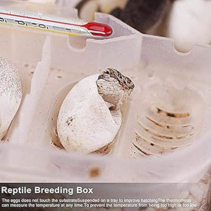 Reptile Incubation Egg Trays Incubation Box Hatching Case Hatching Tray | 16 Grids Transparent Reptile Incubator for Snake Lizard Turtle Gecko Chameleon Bearded Dragon Leopard Gecko Egg Incubation - color: TO