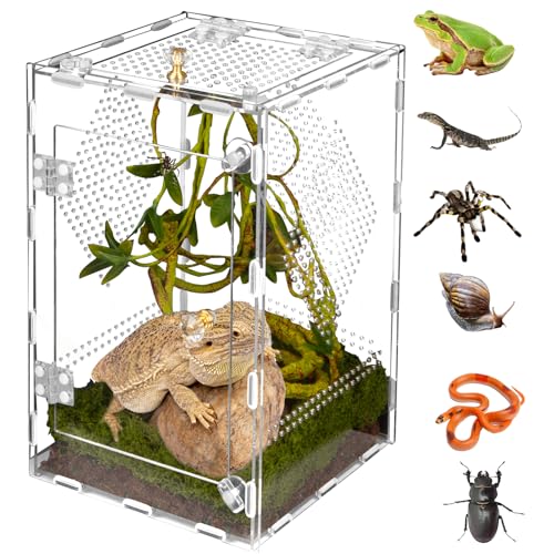 Acrylic Reptile Terrarium Easy Assembly, 360° Clear & Keep Pet Secure Design for Jumping Spiders, Tarantulas, Geckos Scratch-Resistant Large Ventilated Habitat Terrarium for Arachnids 11.8*7.9*7.9in - size: Large-11.8*7.9*7.9in