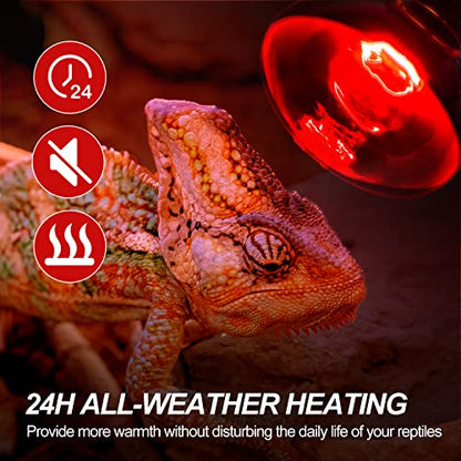 WACOOL 4Pack Reptile Heat Lamp Day & Night Kit 75W, Nature Simulated Basking Daylight & Nightlight UVA Heat Lamp Bulbs for Reptiles & Amphibians - style: 75W-4 PACK