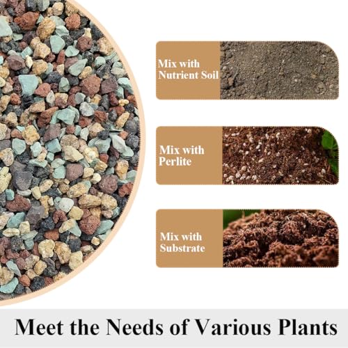 Succulent Cactus Soil Potting Mix Horticultural Lava Rocks Bonsai Soil for Indoor Plants Drainage Volcanic Rock for Terrarium Gardening Top Dressing 2lb - color: Multi, size: 2 Pounds