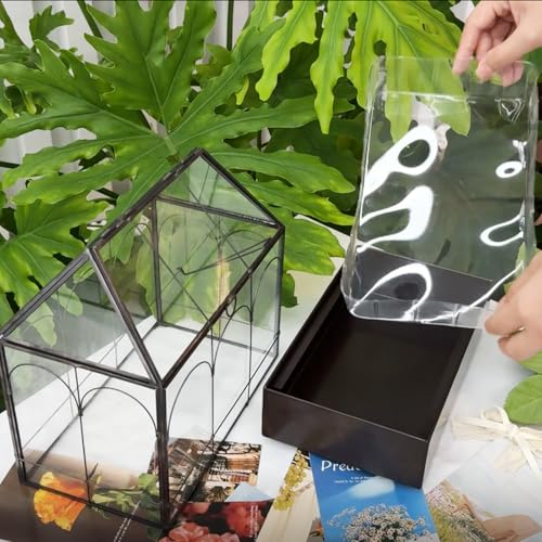 Large Glass Terrarium with Metal Tray, Glass Greenhouse Terrarium, Succulent Terrarium Kit for Succulents, Cacti, Snails, Spiders, and Miniature Reptiles, Black (Velvet Bottom)