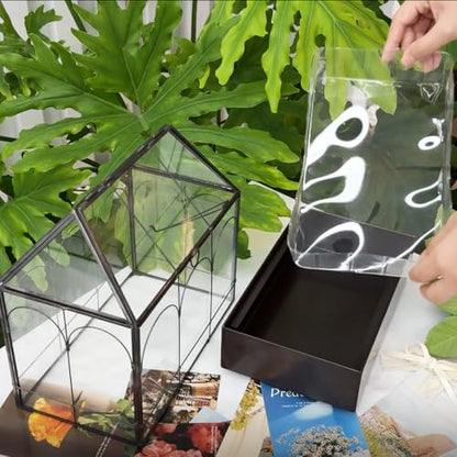Large Glass Terrarium with Metal Tray, Glass Greenhouse Terrarium, Succulent Terrarium Kit for Succulents, Cacti, Snails, Spiders, and Miniature Reptiles, Black (Velvet Bottom)