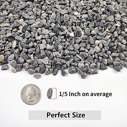 2LB Succulent and Cactus Gravel Pebbles, 1/5 Inch Stones Grey | Polished River Rocks for Plants, Vases, Aquariums, Terrarium and Outdoor Gardening - color: Grey, size: 2 Pounds