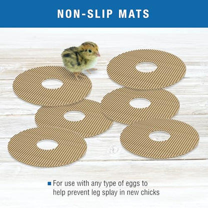 Brinsea Cardboard Hatching Mat for Mini Egg Incubators, Pack of 6 | Authentic Brinsea Mini II Incubators liner; textured, disposable floor covering helps chicks grip safely during hatching - size: Mini, 7 Eggs