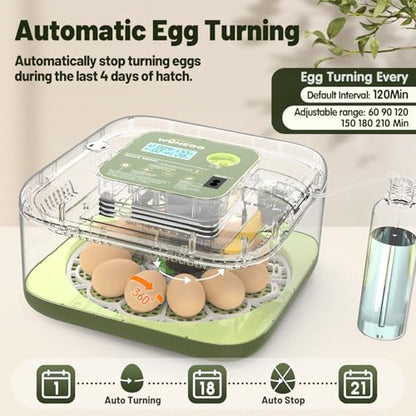 12 Egg Incubator with Automatic Egg Turning and Humidity Control, LED Egg Candling Light, Customized Incubation Days, Incubators for Hatching Eggs, Chicken Quail Parrot Pigeon Birds, Green - size: 12 eggs