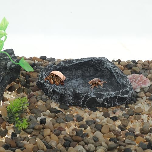 Reptile Food Dish, Resin Lizard Reptile Food Dish, Turtle Water Bowl, Terrarium Feeding Bowl Accessory for Lizard Tortoise Snakes Gecko, Black, 4.72"x3.74"x0.98" - color: Black