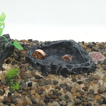 Reptile Food Dish, Resin Lizard Reptile Food Dish, Turtle Water Bowl, Terrarium Feeding Bowl Accessory for Lizard Tortoise Snakes Gecko, Black, 4.72"x3.74"x0.98" - color: Black