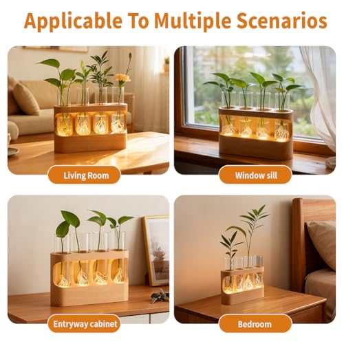 Rechargeable Plant Propagation Station with Wooden Stand,Desktop Terrarium Home Decor Dimmable LED Light 4 Glass Tubes Vases for Hydroponic Plants for Women