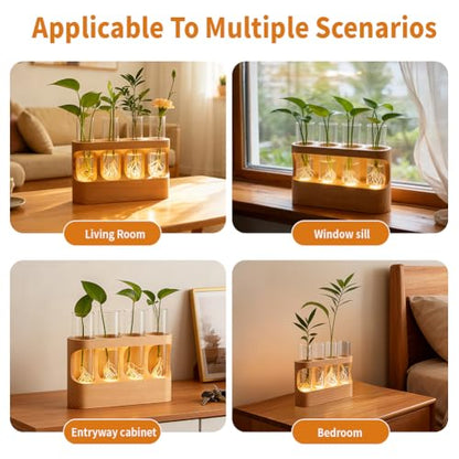 Rechargeable Plant Propagation Station with Wooden Stand,Desktop Terrarium Home Decor Dimmable LED Light 4 Glass Tubes Vases for Hydroponic Plants for Women