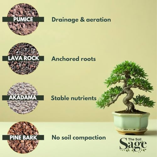 5 Qt Premium Bonsai Mix with Akadama | High Drainage Potting - USA Made - style: Bonsai Soil / 5 QT