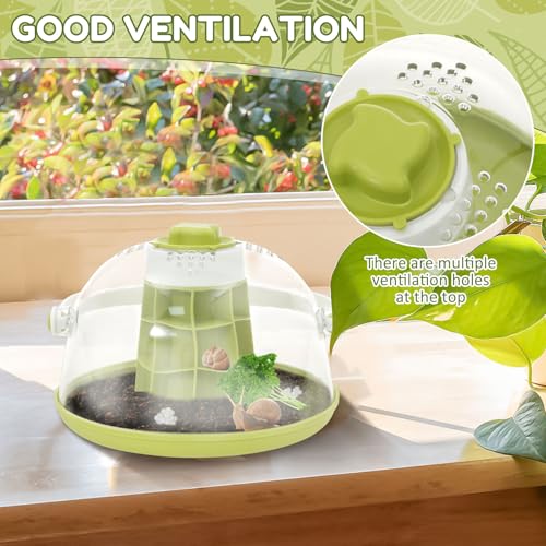 Snail Terrariums Breeding Box, Portable Plastic Habitat with Air Vents & Removable Base, Round Snail Habitat Starter Terrarium Kit, Transparent Feeding Box for Beetles, Spiders and Small Reptile
