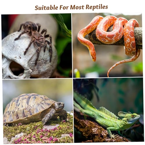 Yardwe 6pcs Tortoise Breeding Box Lock Buckle Durable Escape Prevention Clips for Reptile Terrariums Easy to Install and Use for Turtle and Amphibian Tanks
