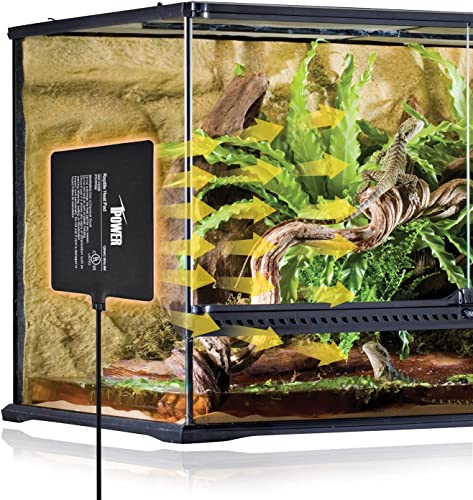 iPower Reptile Heat Pad Under Tank Terrarium Warmer Heating Mat for Turtle, Lizard, Frog, Snake, Reptile, and Other Small Animals, 6X8 Inch, 8W, 2 Pack - size: 6 X 8 Inch, style: 2 Pack