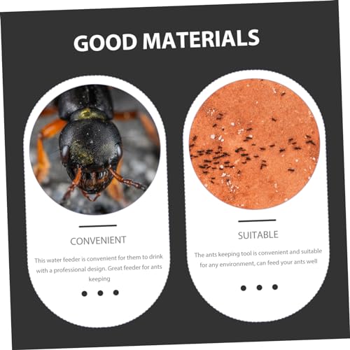 Abaodam Simple Ants Water Bowl Liquid Feeder for Ants Reptile Water Dispenser Station Random Color