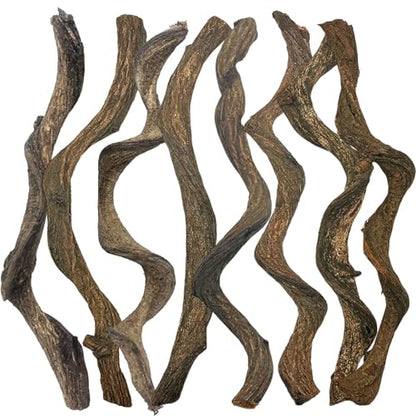 Reptile Decor 8PCS Natural Forest Branch Terrarium Habitat Decoration Lizard Climbing Tree Branch for Bearded Dragon Gecko Snake Frog Chameleon Spider
