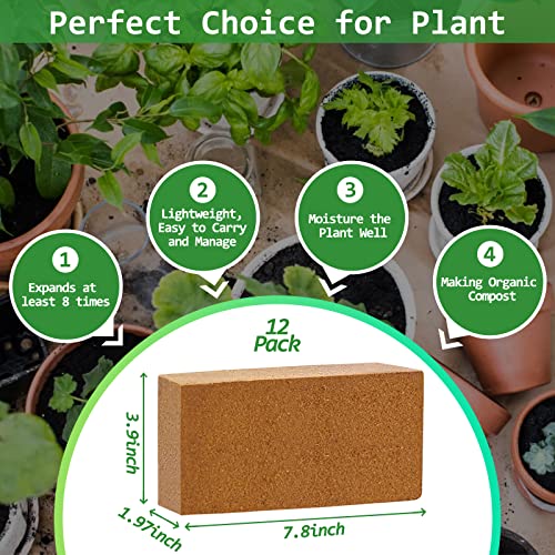 Riare 12pcs Organic Coco Coir Bricks, Natural Coconut Coir for Plants | High Expansion & Moisture Retention Coconut Husk Fiber for Seed Starting, Potting Mix, Composting, Soil Amendment & Reptiles - color: Pack of 12