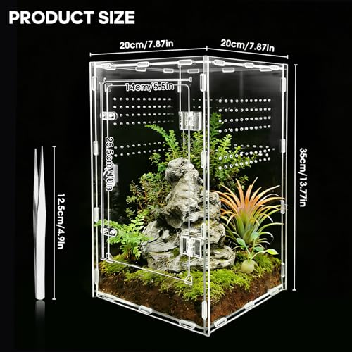 Jumping Spider Enclosure, Insect Terrarium, Bug Cage, Acrylic Terrarium for Tarantula, Snail, Praying Mantis, Frog, and Small Reptiles (7.8" x 7.8" x 13.7") - size: 7.8" x 7.8" x 13.7"