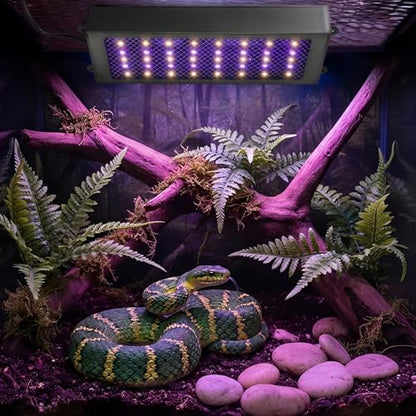 UVB Reptile Light, Dimmable UVA UVB Lamp with Timer & 3 Modes, Adjustable 5.0-20.0 Output, 6500K Daylight LED Reptile Tank Light for Bearded Dragon, Snake, Turtle, 10-40 Gallon (8 INCH) - size: 8 INCH