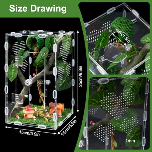 Jumping Spider Enclosure,6x6x10 in Spider Enclosure Easy Assembly with DIY Jumping Spider Accessories Front Opening Bug Habitat with Feeding Port for Mantises,Spiders,Insects
